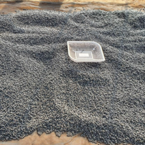 국산 서리태콩 직접기른 검은콩 1kg 3kg 5kg 10kg