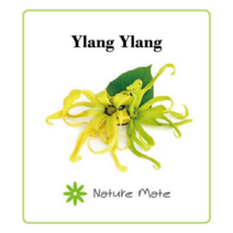 네이처메이트 프래그런스 오일 100mL 디퓨저 캔들 향수 석고 방향제 만들기 DIY 재료, ILANG ILANG 일랑일랑