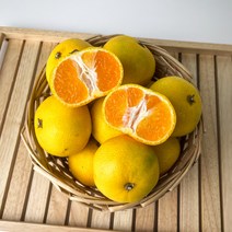 제주 첫수확 고당도 노지 감귤 귤, 5kg (L.2L), 1개