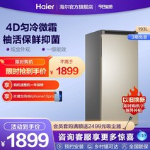업소용냉장고 하이얼 리터 소 냉동고 가정 상업 소 냉동고 냉동고 이중 수직 냉동고 서랍 비축, 눈부신 금