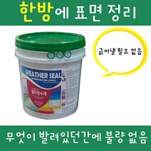 한진 마스터 멀티 프라이머 웨더씰 14kg 만능 수용성, 메가하이브리드웨더씰(백색 및 조색)18L(색상을배송란)
