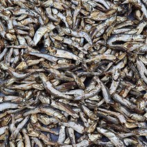 건어물도매몰 국물용다시멸치 안주용멸치 똥딴멸치 큰멸치 손질멸치, 손질멸치_500g, 1개