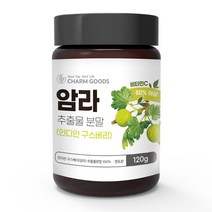 참굿즈 암라 인디안구스베리 100% 추출물 분말 파우더 120g 비타민C 인도산 암라열매 쥬스 쉐이크 소스, 스푼없음