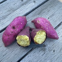 23년 목 매이는 퍽퍽한 햇 밤고구마 고구마, 밤고구마10kg(상), 1개