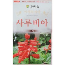 사루비아 야생화씨앗/4월초파종/다농/가람종묘사