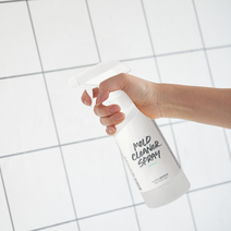 1+1 에코후레쉬 곰팡이제거제 500ml 벽지 벽 천장 욕실 화장실 방지제 베란다 결로 제거, [한정수량] 2+2 곰팡이 제거제