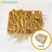충북인삼농협 수삼 선물세트 .... TV및 신문광고중, 왕특대(1kg : 7~8뿌리)