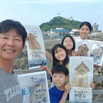 대왕오징어 갑오징어 생물 산 선동 오징어, 2kg