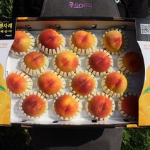 복숭아 엘바트 장호원 황도 복숭아 1박스, 햇사레 황도복숭아 특과4k 10-13과