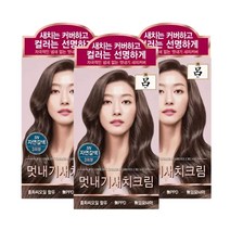 AP 려 우아채 멋내기 새치크림 5N 자연갈색x3개/ 염색