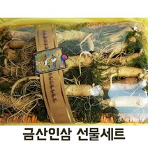 수삼 인삼선물세트 금산 750g 16-20뿌리 금보자기포장, 금산인삼9-10뿌리750g