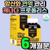 60대 캐나다 대용량 프로폴리스 플로폴리스 캡슐 PROPOLIS 키즈 플로폴리스 플로보노이드 입안이 헐었을때 폴라폴리스 어린이 구강 면역 강화 폴리폴리스 비 아연 영양제 추천