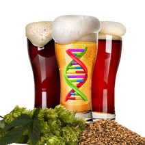 Austin Homebrew Clone Recipe Live Oak Big Bark (3A) - ALL GRAIN, 1