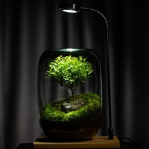 창조적인 이끼공기청정기 잔디 수조 비바리움 식물 테라리움 LED 수제 diy 재료 패키지 장식 추석 선물, 단일사이즈, 패키지 완제품이 배송됩니다.