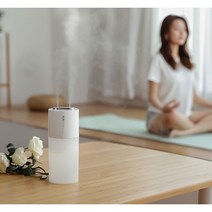 (니양몰) 저소음 2중분사 듀얼제트 가습기 차량가습기 USB형 은은한 조명 가능 스마트 듀얼 미니 가습기(USB충전식), 무선(충전식)화이트