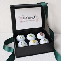 선물포장 자체제작 인쇄 골프공 6구 세트 커스텀 생일선물 스승의날 어버이날 명절선물 연말선물 답례품, B타입, 보스트