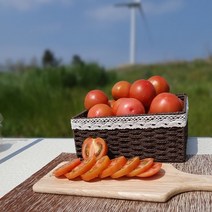 진상토마토 (1~3번과) 2kg - 일반토마토 비교불가