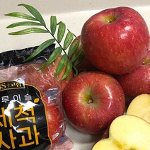세척사과 부사 꿀 사과 껍질째 먹는 고당도 5kg 3kg 경북 정품 가정용, 세척 가정용 중과(로얄) (16-18과) 5kg, 1개