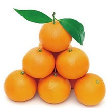 황금향 10kg 제주 직배송 (가정용), 벌크(혼합)