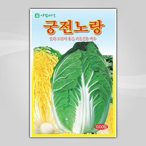 슬로시 슬로시 김장 채소 씨앗 무 배추 당근 씨 종자, 궁전노랑1000립(아람)