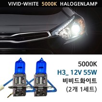 5000K 비비드화이트 현대 EF소나타 전조등 상향등 하향등 안개등 자동차램프, 5000K EF소나타 안개등 H3(2개1세트), 1세트