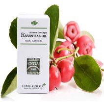 림스 아로마 에센셜 오일 10ml, 윈터그린오일10ml