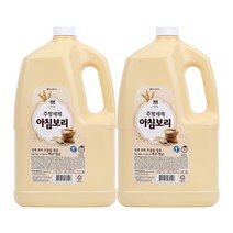 LG생활건강 아침보리 주방세제, 3000ml, 2개