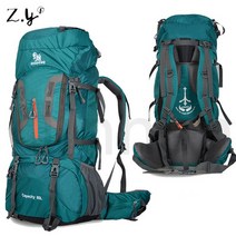 백패킹배낭 80L 등산가방 대형, 그린