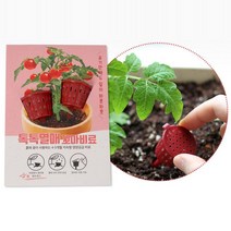 화분영양제비료 오이 고추 열매식물 키우기용 5개, Coupang 본상품선택