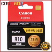 오케이전산 캐논정품 정품잉크 PG-810 검정 IP2770 9ml MP496, 1