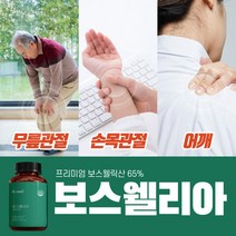관절연골엔 보스웰리아정 1000mg 무릎통증에좋은 보스웰리아영양제 손목에좋은영양제 보스웰, 3통(6개월 분량)