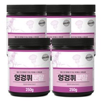 케이웰니스 국내산 엉겅퀴분말 250g x 5, 단품, 단품