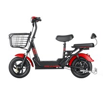 DG-ZS 전기자전거 전동 스쿠터 2인승 조력 레저대보차, 레드