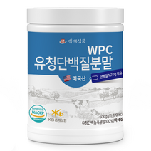 WPC유청단백질분말100% 500g통 미국산 HACCP 인증제품, 1통, 500g