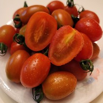 유니네 스테비아 대추방울 토마토, 2.5kg