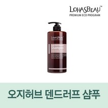 [문제성두피용]로하스보 오지허브 덴드러프 샴푸(1000ml)국산, 1000ml, 1개