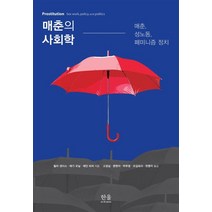 매춘의 사회학:매춘 성노동 페미니즘 정치, 틸라 샌더스,매기 오닐,제인 피처 저/고경심 등역, 한울아카데미