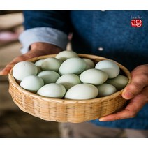 정진푸드몰 산지직송 자연방목 난각번호1번 청계란 [20구/ 30구/ 40구] 초란 청란 청계알 청계유정란, 청계란 40구