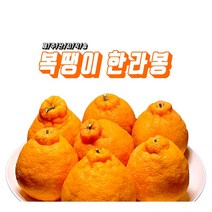 복땡이감귤 제주 한라봉 5kg 10kg 서귀포 하우스 한라봉 가정용 벌크 산지직송, 꼬꼬마 한라봉 5kg (35개전후)