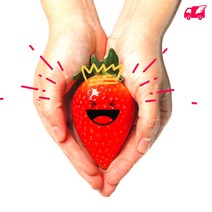 대왕딸기 킹스베리 고당도 특대 산지직송 명품 설향딸기, 킹스베리 1kg(500g 2팩/25~35g)