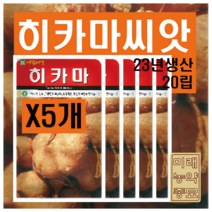 히카마 씨앗 20립 X5개 (23년산)- 얌빈 씨앗, 5개