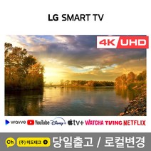 LG 55인치 4K 스마트 UHD TV 55UN6955 초고화질, 2. 수도권역 벽걸이 +상하브라켓