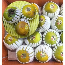 [프레시러시] 가을의맛 태추단감 배단감 2kg 3kg 5kg 아삭아삭 햇단감, 태추단감 3kg(13과 내외), 1개