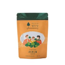국내산100 전남 고흥산 곤드레 나물 피클 장아찌, 100g x 1개