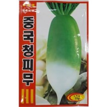 AR 중국청피무 씨앗 저장성이 좋은 씨앗 25g, 1개