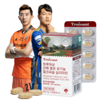 트루아상 밀크씨슬 유기농 간영양제 500mg, 60정, 1개