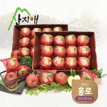 산지애 2023년 햇사과 홍로 6kg (3kg*2박스), 2개