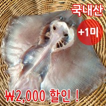 짠돌이쇼핑 반건조 간재미 2-5마리 20-30cm 외 10종 자연건조 군산직송, 3마리, 간재미(중) 27cm내외