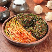 [민이네식탁] 100% 국내산 전라도 파김치, 1개, 1kg