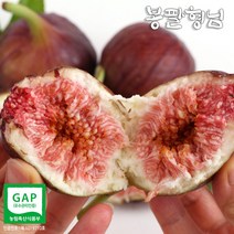 해남 햇 무화과 (6팩) 생과, 단품